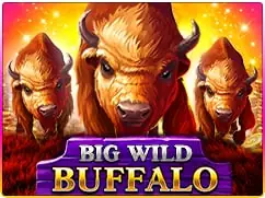 Big Wild Buffalo Slot